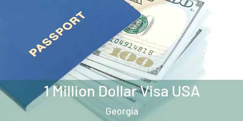 1 Million Dollar Visa USA Georgia