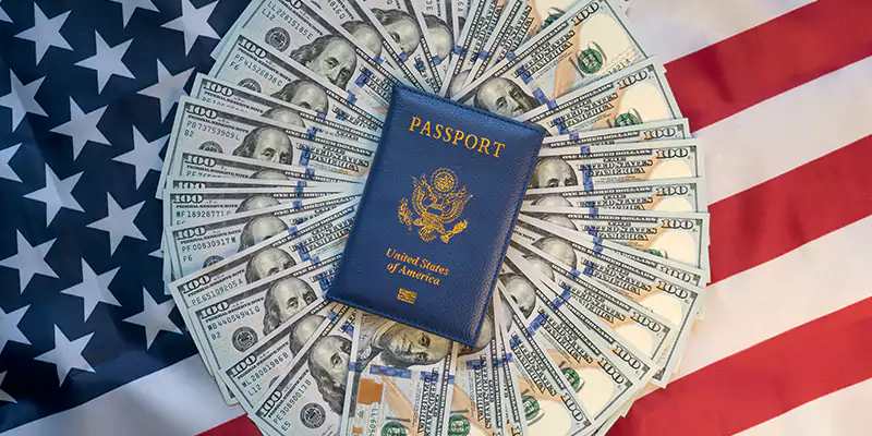 Why Choose Us for Your US Investment Visa Journey for Georgia?
